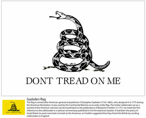 Don'T Tread On Me Flag Coloring Page